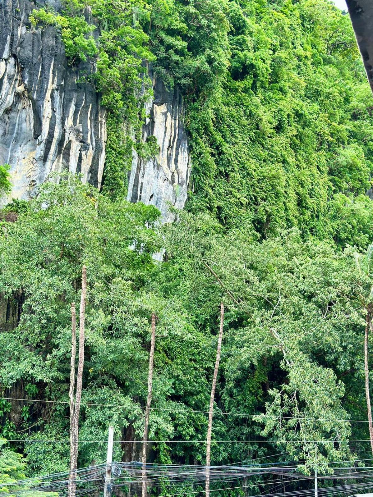 Mayad El Nido Inn エクステリア 写真